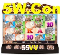 55VV.Com