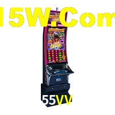 Programa VIP 55VV