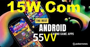 Premium Interface 55VV